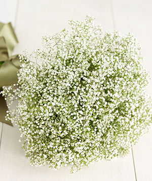 baby's breath bouquet from Real Simple