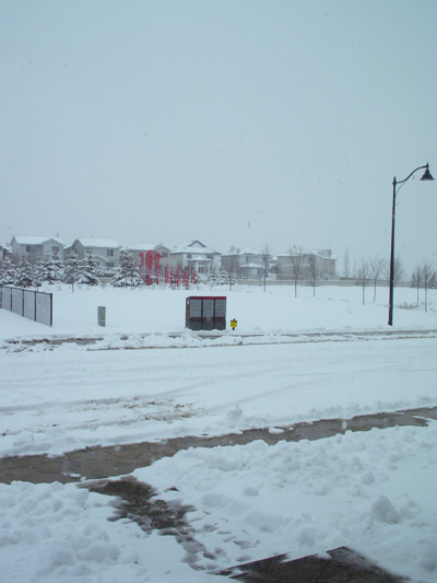 Calgary winter
