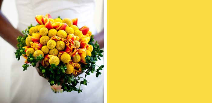 yellow billy ball bouquet with tulips